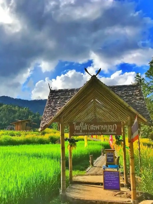 Pai Thailand rice bamboo bridge use